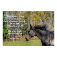 Galloping Black Horse and Horse Lovers Equine Poem