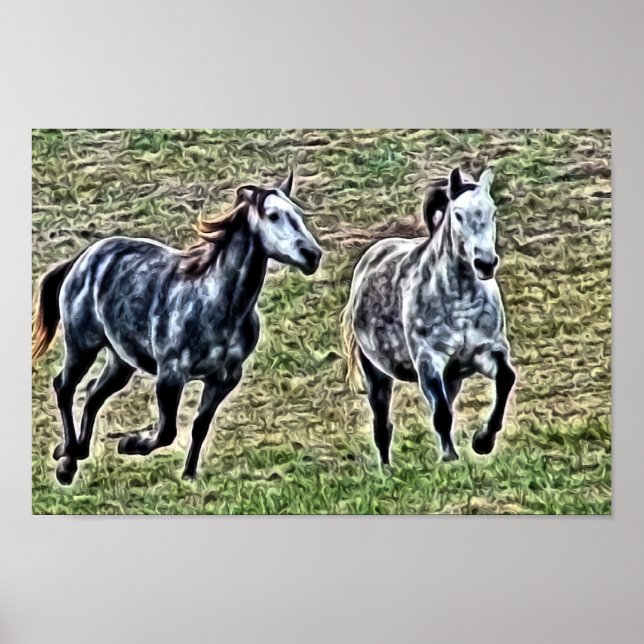 Poster Galloping Grey Horses (Devant)