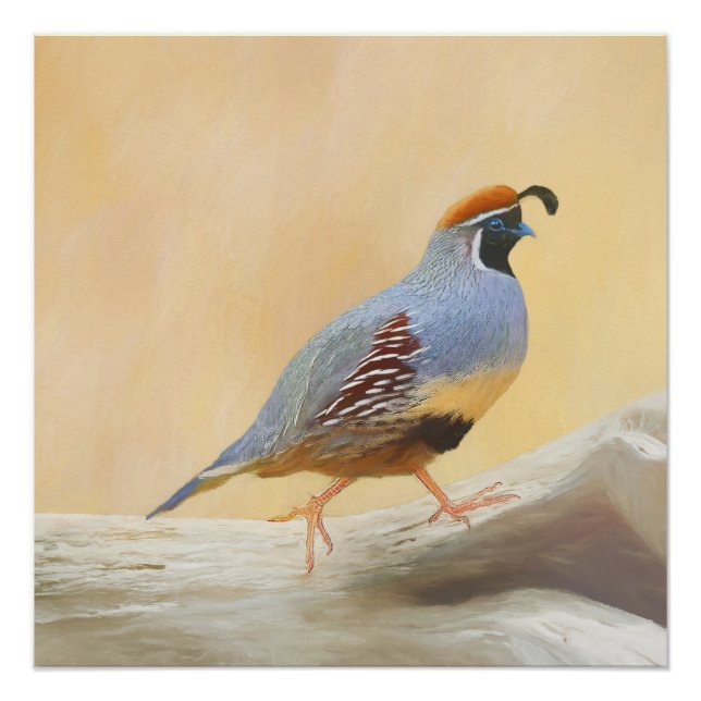 Poster Gambrel's Quail Painting Original Bird Art (Devant)