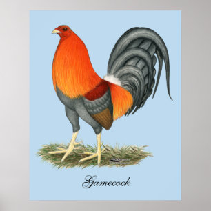 Poster Gamecock Blue Red Roster