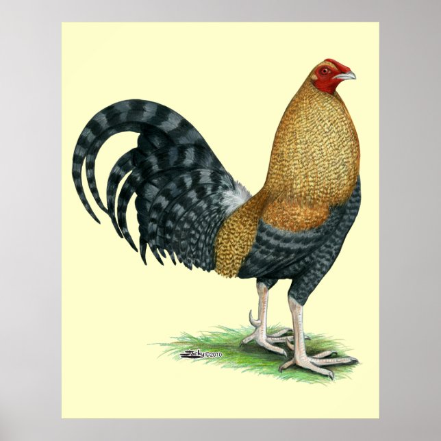 Poster Gamecock : Dom ou Crele (Devant)