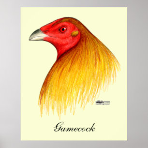 Poster Gamecock Dubbed