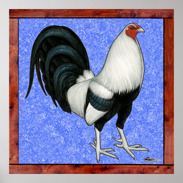 Poster Gamecock encadré (Devant)