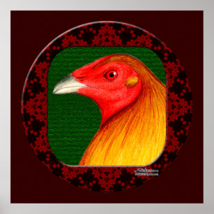 Poster Gamecock Framed