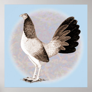 Poster Gamecock : Hennie