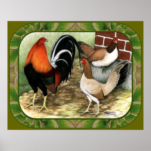 Poster Gamefowl à la ferme (Devant)
