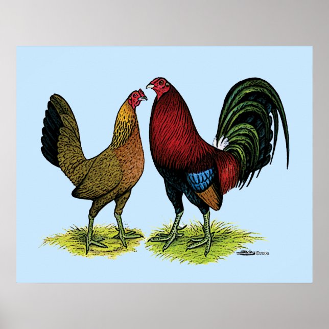 Poster Gamefowl Pair (Devant)
