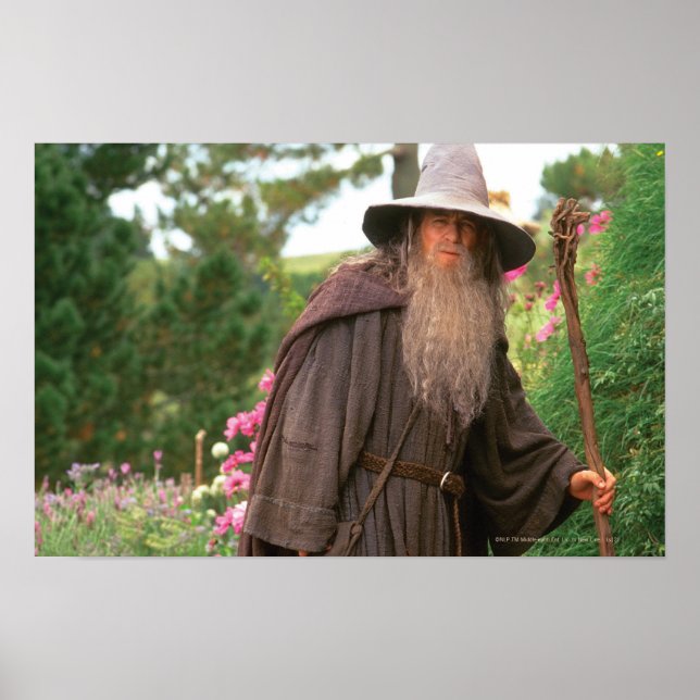 Poster GANDALF™ avec Casquette (Devant)