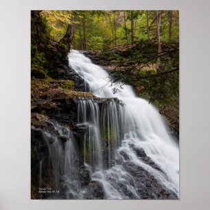 Poster Ganoga Falls 11"x14"