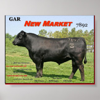 POSTER GAR NOUVEAU MARCHÉ