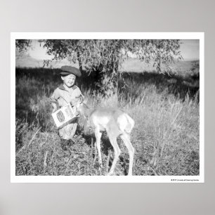 Poster Garçon nourrissant l'antilope à la main