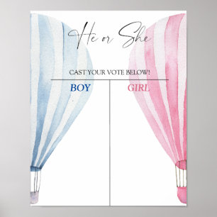 Poster Garçon ou fille que nous connaissons le sexe révél