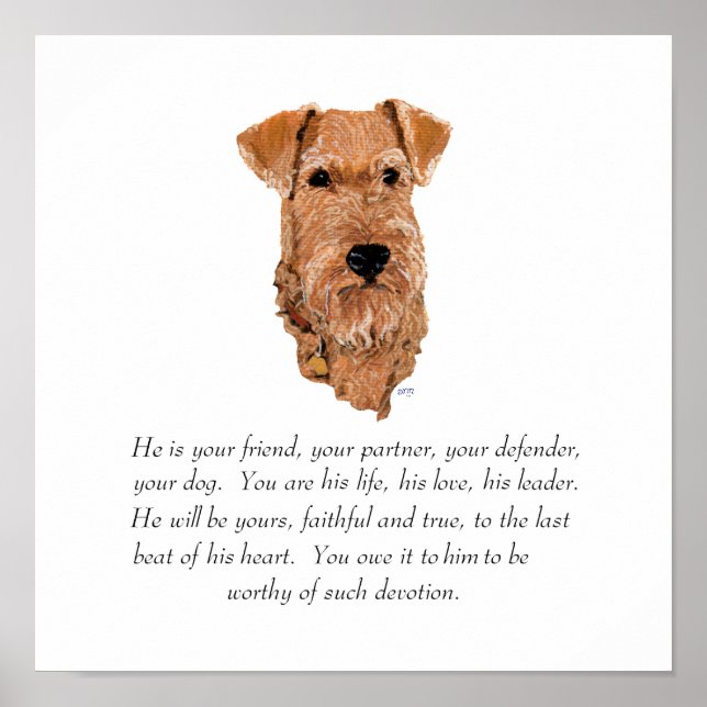 Poster Garde de Terrier Irlandais - Mâle (Devant)
