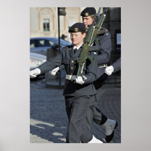 Poster Garde du mont