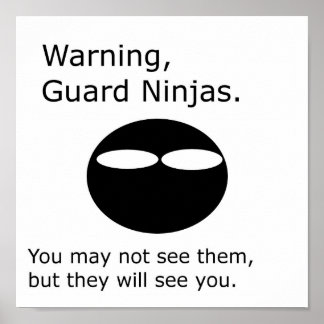 Poster Garde Ninjas