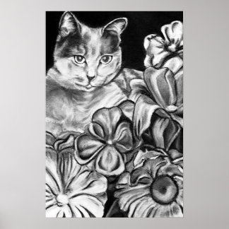 Poster Garden Cat