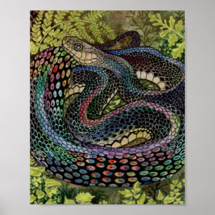 Poster Gardener Snake Study Beyond the Skin