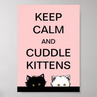 Poster Garder les chatons calmes