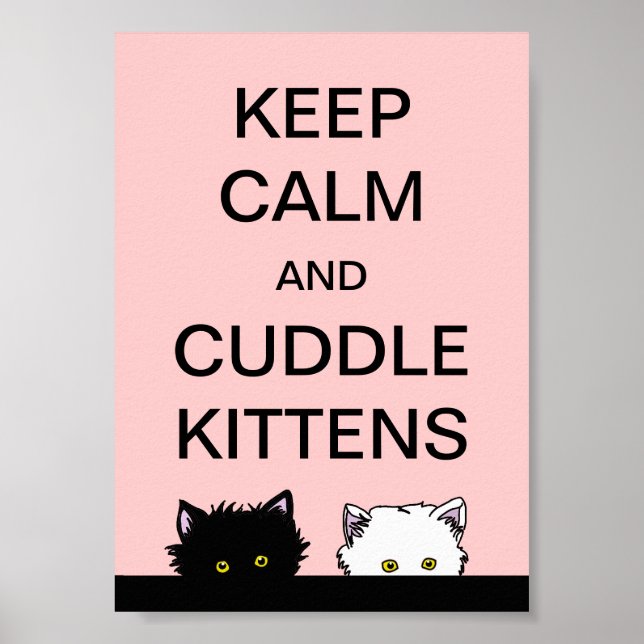Poster Garder les chatons calmes (Devant)