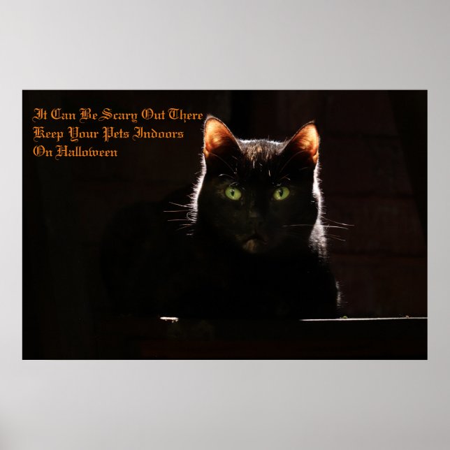 Poster Garder vos animaux domestiques à l'intérieur (Devant)