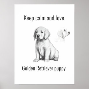 Poster Gardez calme et amour Golden Retriever chiot