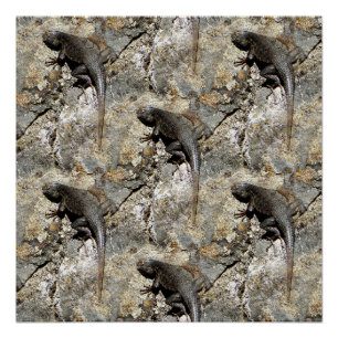 Poster Gardez droite sur l'escalade....