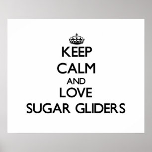 Poster Gardez le calme et aimez les planeurs de sucre