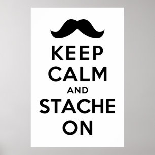 Poster Gardez le calme et le stache allumés