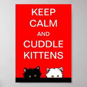 Poster Gardez les chatons calmes