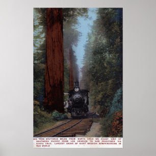 Poster Gare de Big Tree