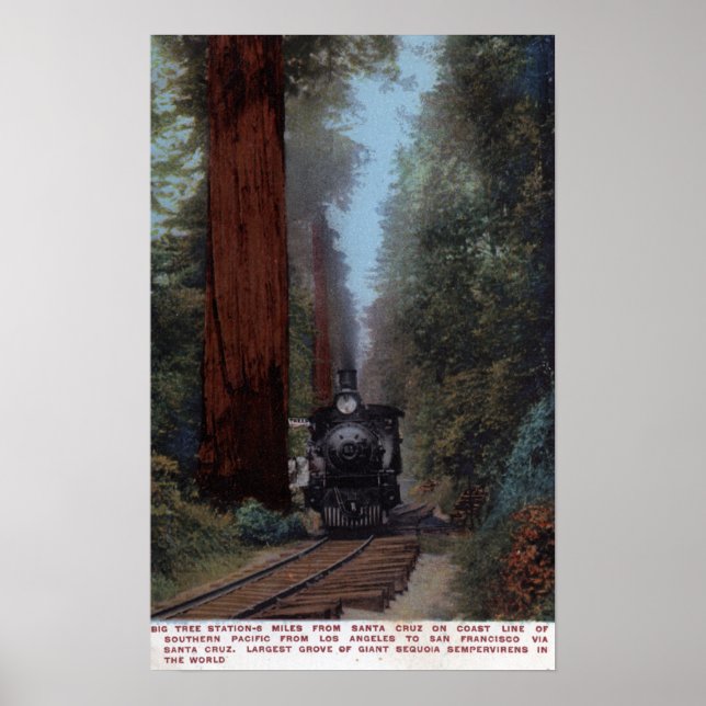 Poster Gare de Big Tree (Devant)