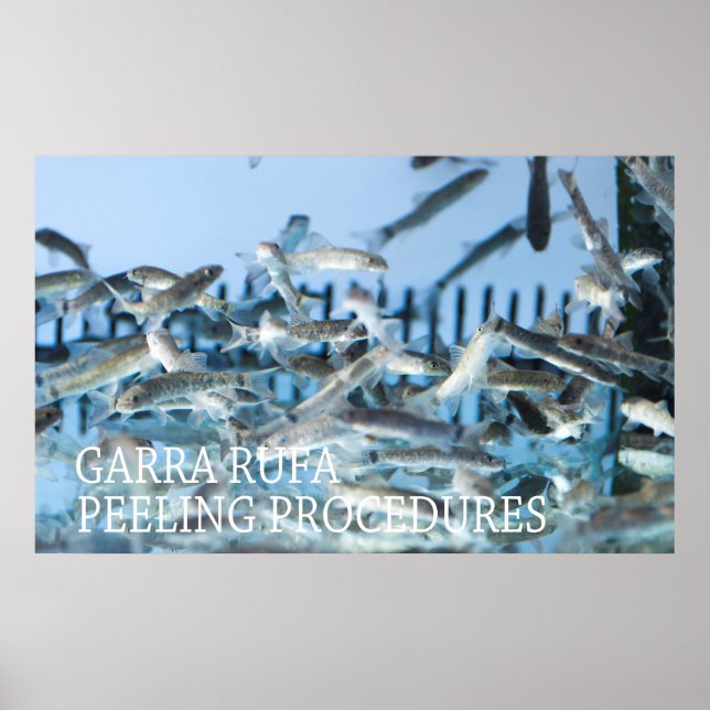Poster Garra rufa peeling (Devant)
