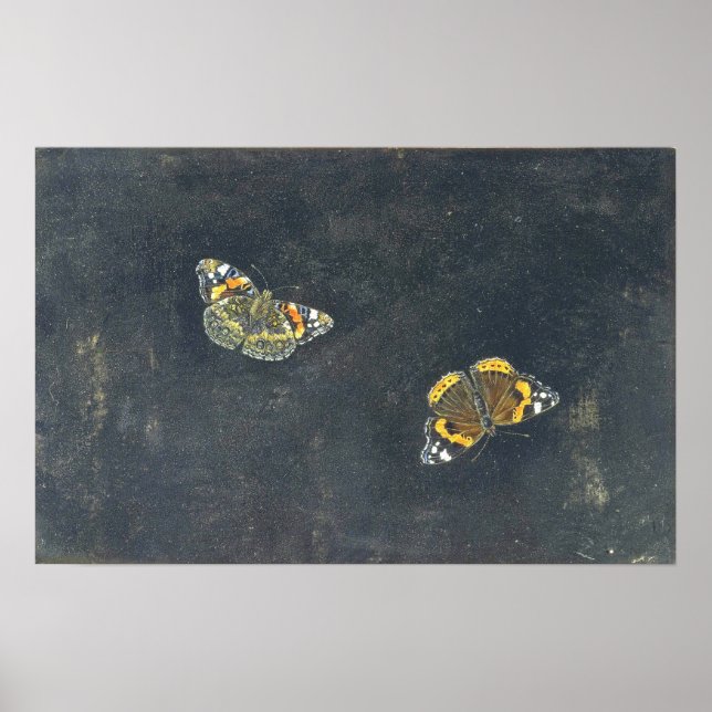 Poster Garzoni - Deux papillons (Devant)
