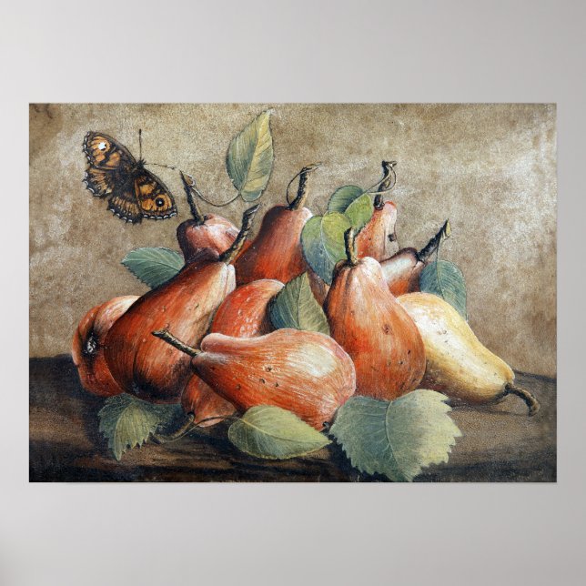 Poster Garzoni - Vie Permanente Avec Des Poires Et Un Pap (Devant)