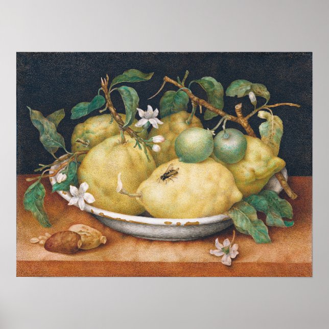 Poster Garzoni - Vie Toujours Avec Le Bol De Citrons (Devant)