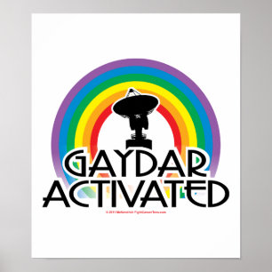 Poster Gaydar activé