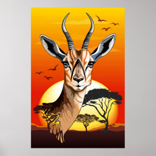 Poster Gazelle Antelope africaine animal sauvage
