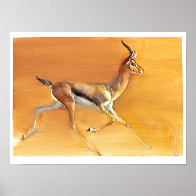 Poster Gazelle arabe 2010 (Devant)