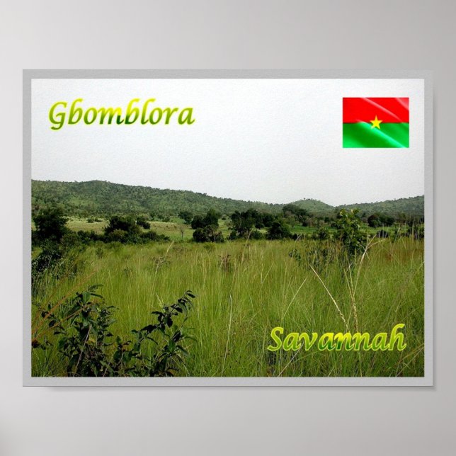 Poster Gbomblora - Savannah - (Devant)