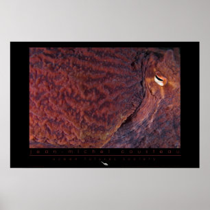 Poster géant de poulpe du Pacifique