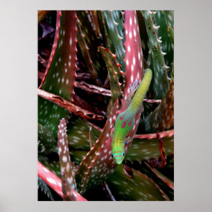 Poster Gecko de jour de la poussière d'or