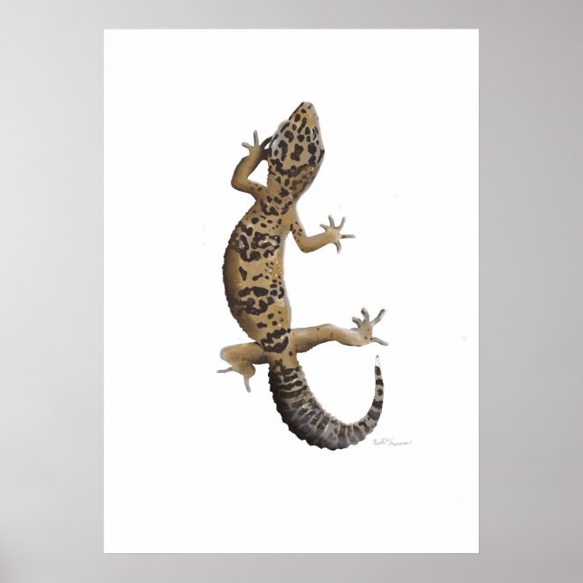 Poster Gecko léopard (Devant)