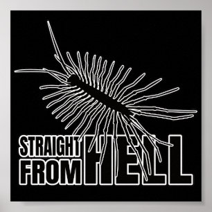 Poster Geek de l'Entomologie de Chilopod Centipede Millip