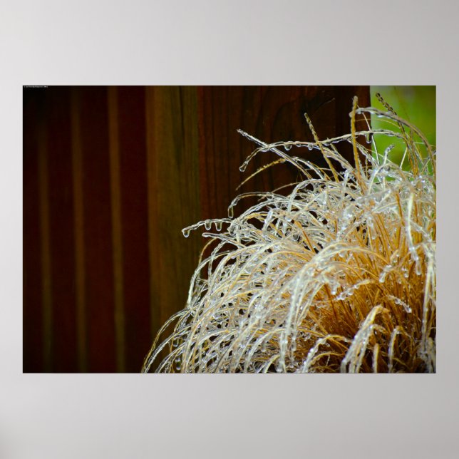 Poster Gel hivernal, (Devant)