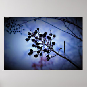 Poster Gel hivernal,