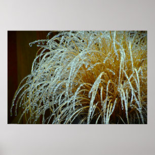 Poster Gel hivernal,