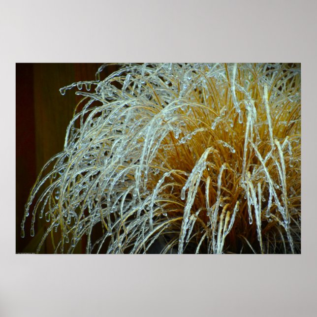 Poster Gel hivernal, (Devant)