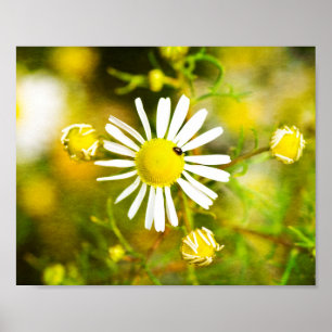 Poster Gelber Traum der Natur