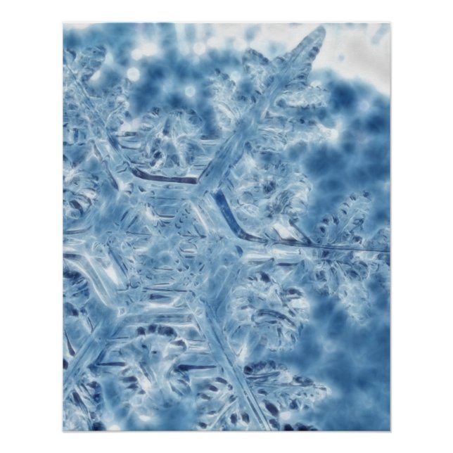 Poster Gelée Cristal de glace Flocon de neige fractal (Devant)