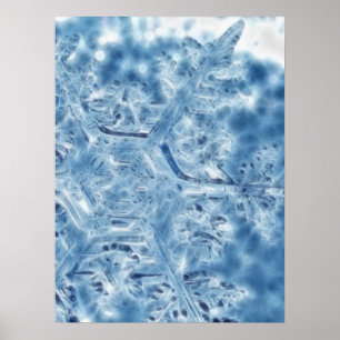 Poster Gelée Cristal de glace Flocon de neige fractal